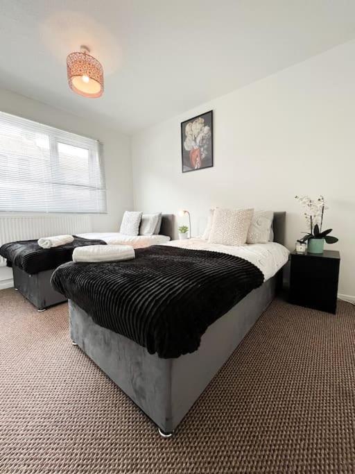 3 Bedroom House With Free Parking Чатам Экстерьер фото
